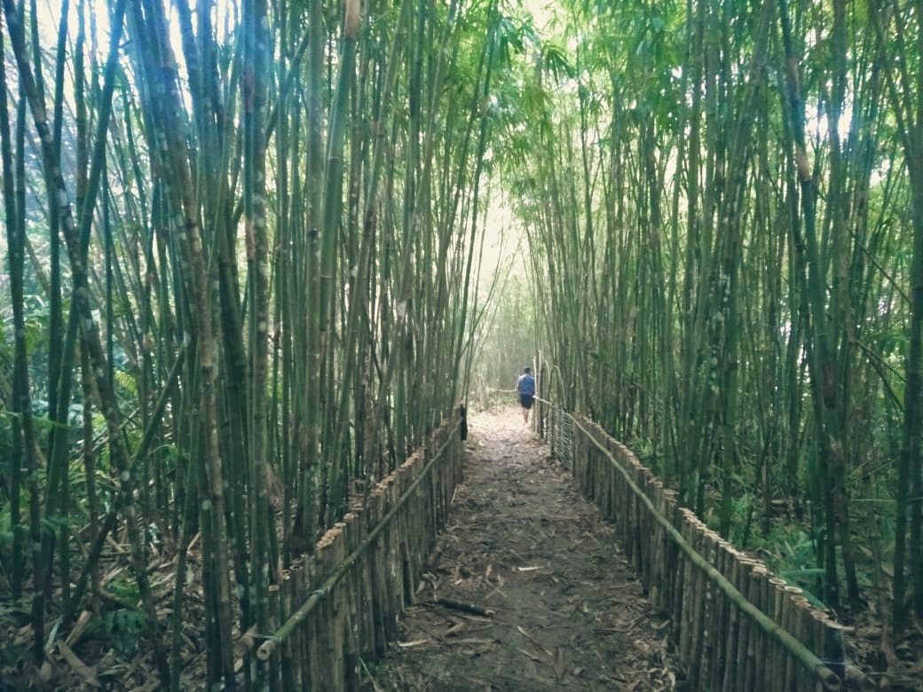 Sepadang Hill Bengkayang